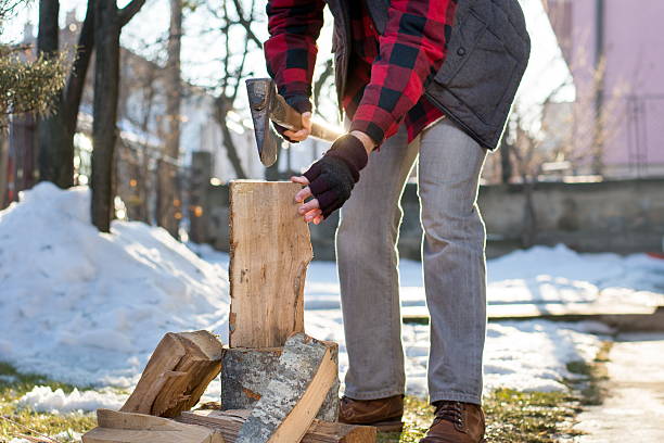 istock Man chopping firewood in the yard 638472628