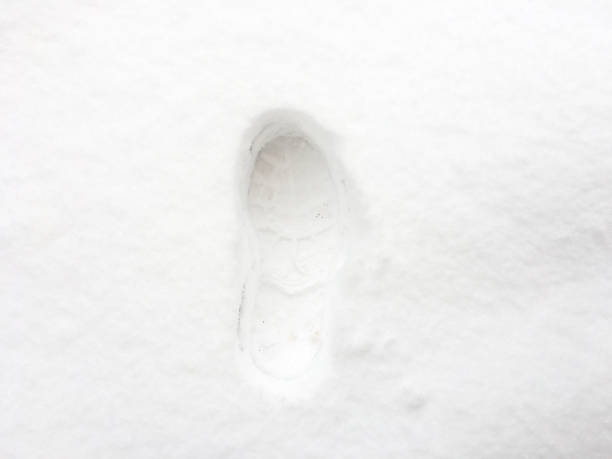 istock foot print in the snow 638472762
