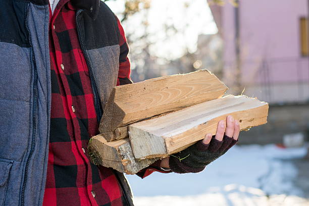 istock Man carrying firewood in the yard 638473726
