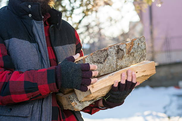 istock Man carrying firewood in the yard 638474024