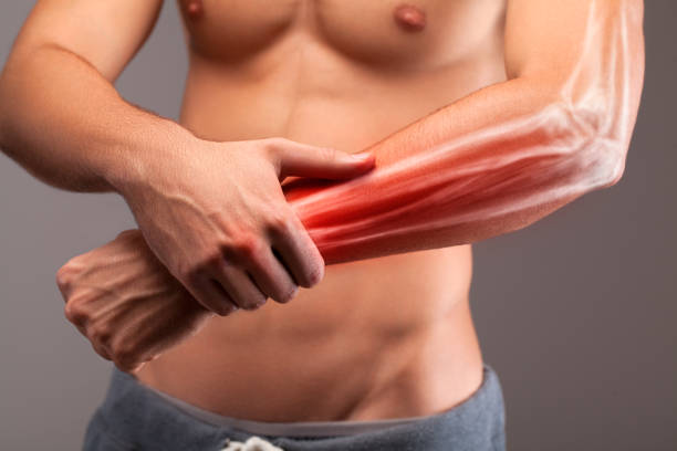 istock Anatomy of human arm. 638474088