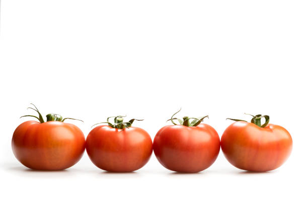 istock Four realistic red tomatoes in a line isolated in white background 638474352