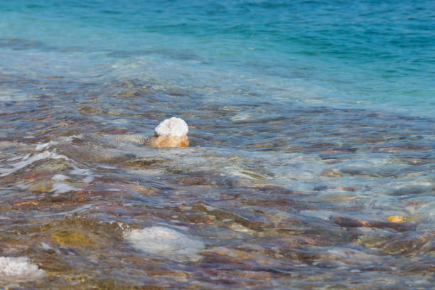 The Dead Sea at nearly 400mtrs below sea level is claimed to be the lowest point on earth. So called because of high salinity preventing fish and aquatic plants from living in it, it is a salt water lake in the Jordan Rift Valley bordered by Jordan to the east and the West Bank and also Israel to the west, with its main tributary being the Jordan River