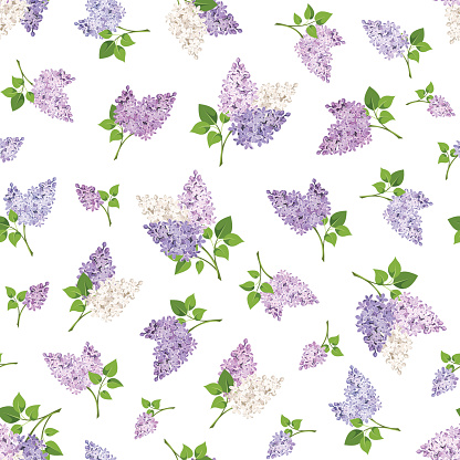 Seamless pattern with lilac flowers. Vector illustration.