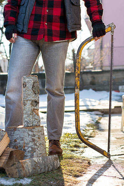 istock Man holding a hand saw for chopping firewood 638475370