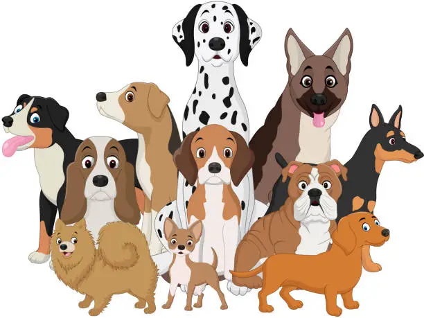 Vector illustration of Set of funny dogs cartoon