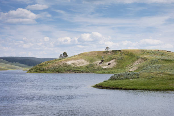 istock Yellowstone National Park 638476454