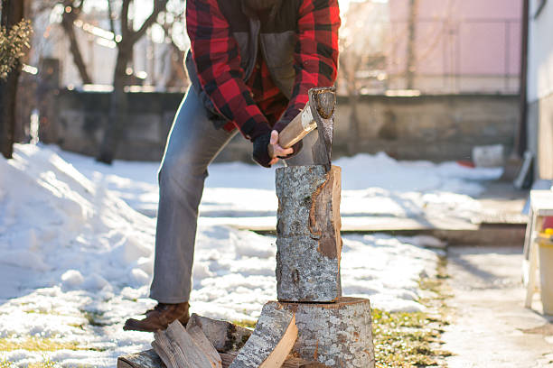 istock Man chopping firewood in the yard 638476982