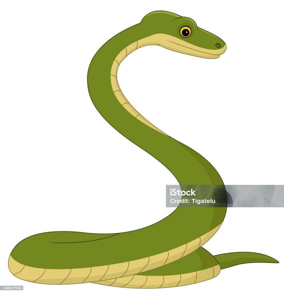 Snake Cartoon Isolated On White Background Stock Illustration - Download  Image Now - Anaconda - Snake, Animal, Animal Fin - iStock