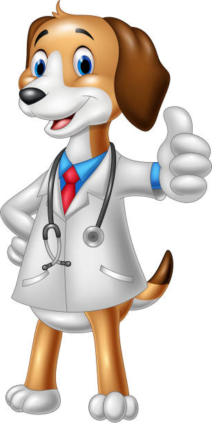 мультфильм соба�ка носить костюм ветеринара давая большие пальцы руки вверх - doctor dog portrait animal hospital stock illustrations