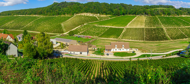 Panoramic view of countryside and vineyards in Chablis area, Burgundy, France