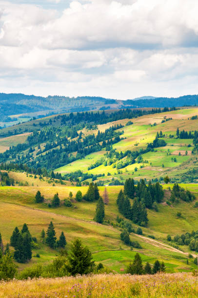 istock Carpathian mountain landscape with blue cloudy sky in summer day 638480620