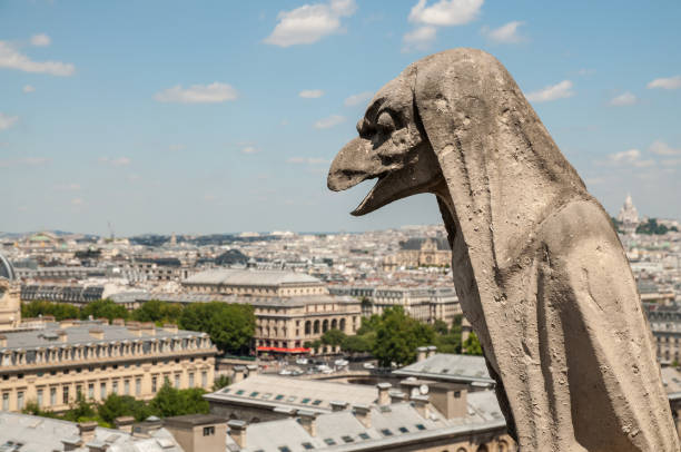 view from notre dame de paris - church close up paris france gothic style imagens e fotografias de stock