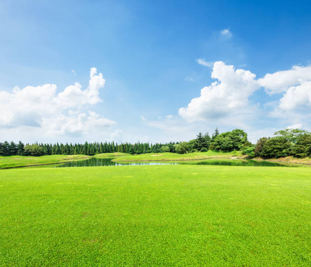 campo de hierba verde y cielo azul en día de verano - pasture green meadow cloud fotografías e imágenes de stock