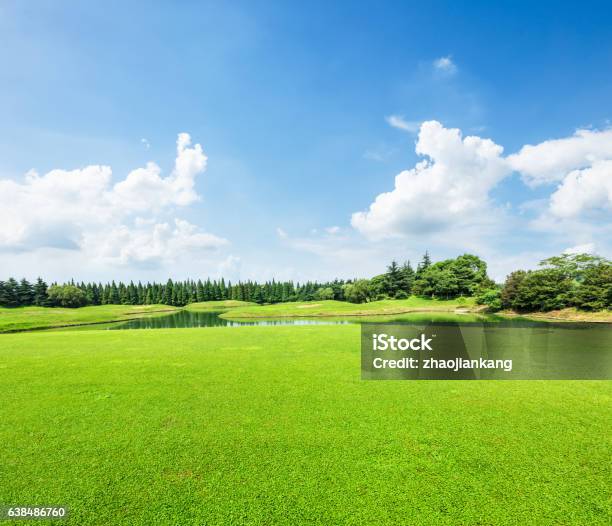 Foto de Campo De Grama Verde E Céu Azul No Dia De Verão e mais fotos de stock de Parque público - Parque público, Jardim particular, Céu - Fenômeno natural