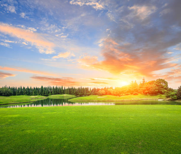 istock field of green grass at sunset 638489106
