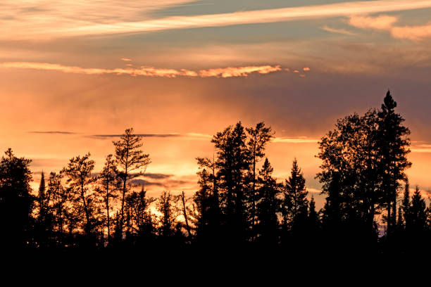 istock Silhouettes at Sunset in the North Woods 638490658