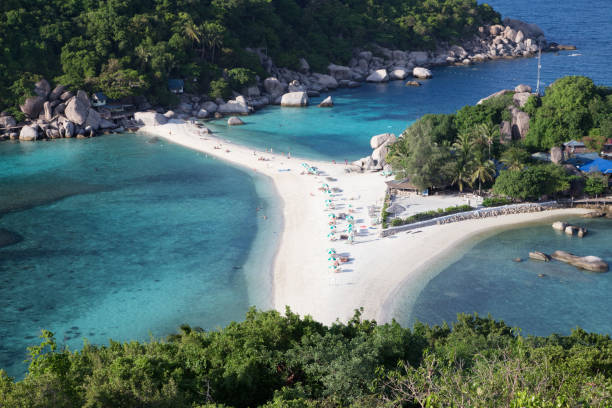 istock Tropical beach paradise: Beautiful deserted white sand beach 638491836