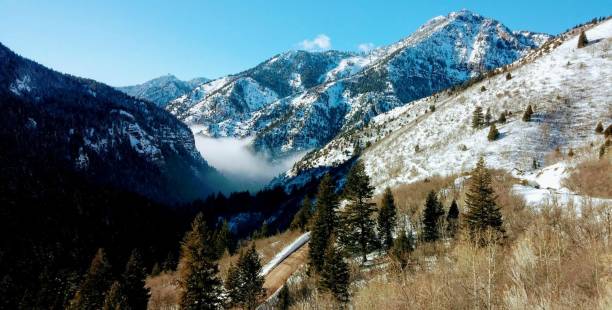 istock Winter in the Rocky Mountains 638491882