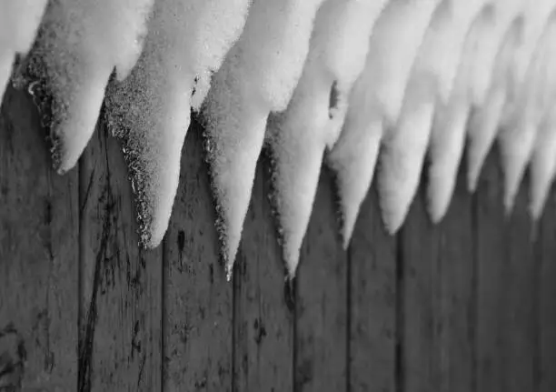 Photo of winter teeth