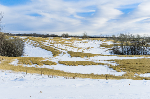 Alberta winter rural landscape near city of  Edmonton with grass not completely covered  under snow