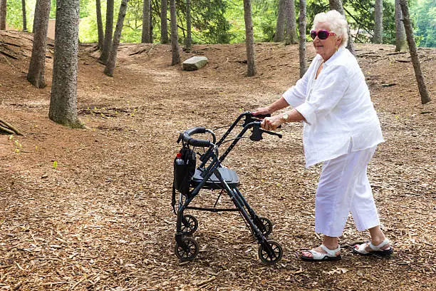 Caucasian senior woman in 70s wearing white pants and blouse pushes a rollator walker through a pine forest outdoors on a summer day, New Harmony, IN, USA