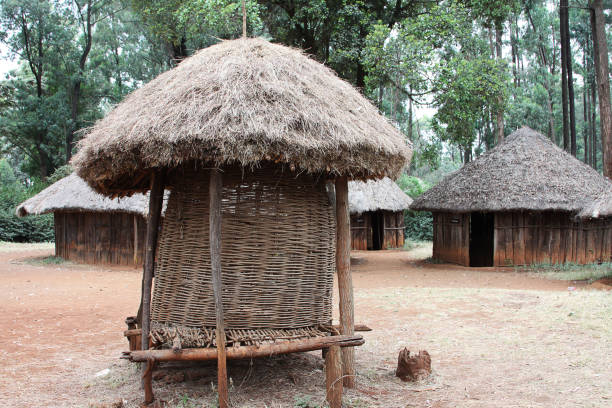 istock Traditional Kenyan village with grain store 638503234