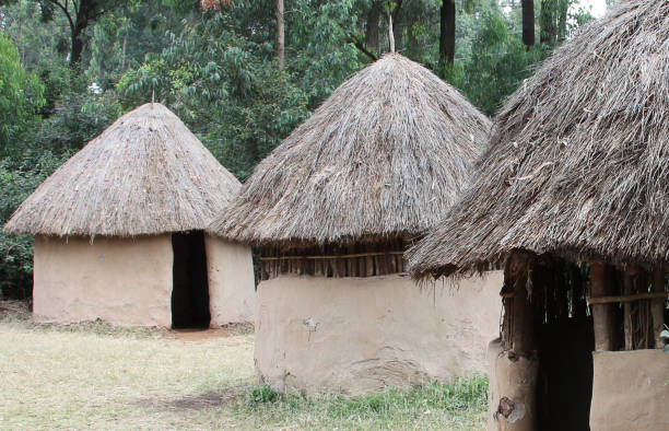 istock Mud huts in a traditional Kenyan village 638503516