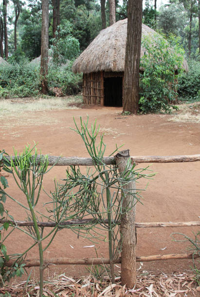 istock Hut in Kenyan village 638503724