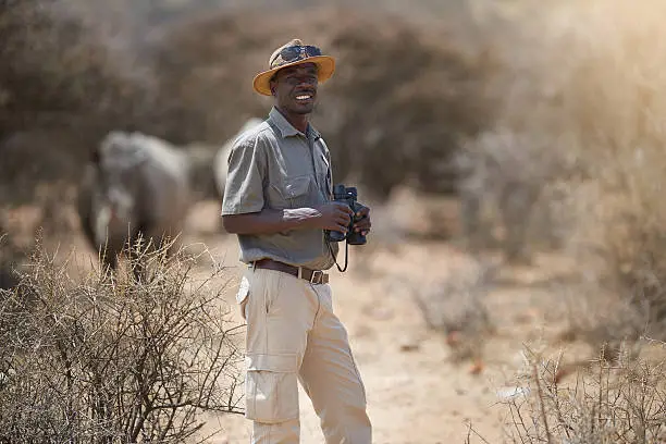 Portrait of a confident game ranger looking at a group of rhinos in the veld