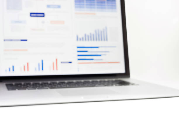 Blur of statistics charts displayed on laptop screen,Financial graph,Business analysis concept