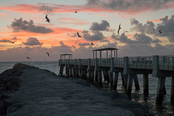 istock Seagulls Sunrise Red Clouds Miami Beach Sobe South Pointe Park 638508774