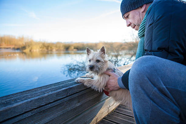 istock Man with a puppy Cairn Terrier on the lake 638510908