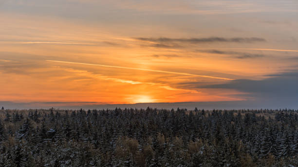istock Sunset behind the wood trees.The orange sky on horizon 638512362