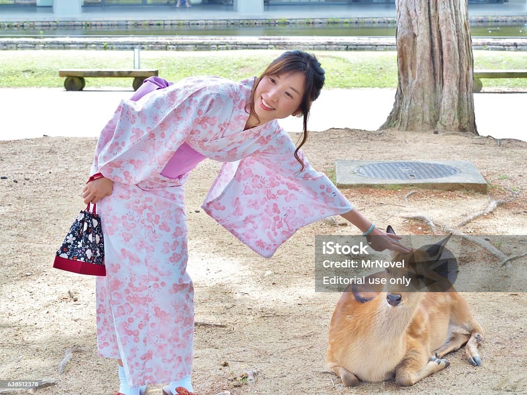 Hermosa Mujer En El Vestido Tradicional Japonés Jugar Con Los Ciervos Foto  de stock y más banco de imágenes de Parque de Nara-Koen - iStock