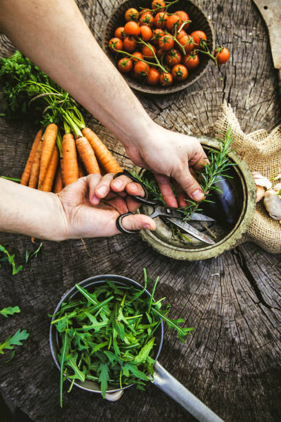 produtos hortícolas - vegies vegetable basket residential structure imagens e fotografias de stock