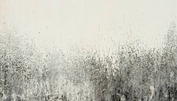 istock Abstract grunge dirty wall for use as background 638516084