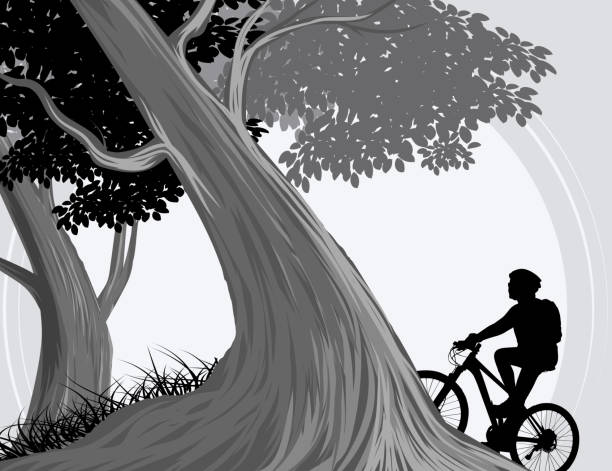 illustrazioni stock, clip art, cartoni animati e icone di tendenza di foresta e ciclismo - mountain bike sport tropical tree tree