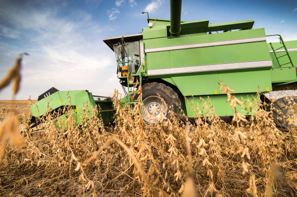 istock Harvesting of soybean field 638520004