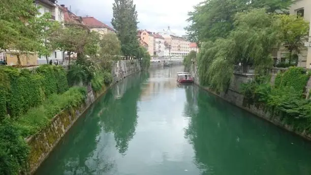 A beautiful green canal in Ljubljana, Slovenia.