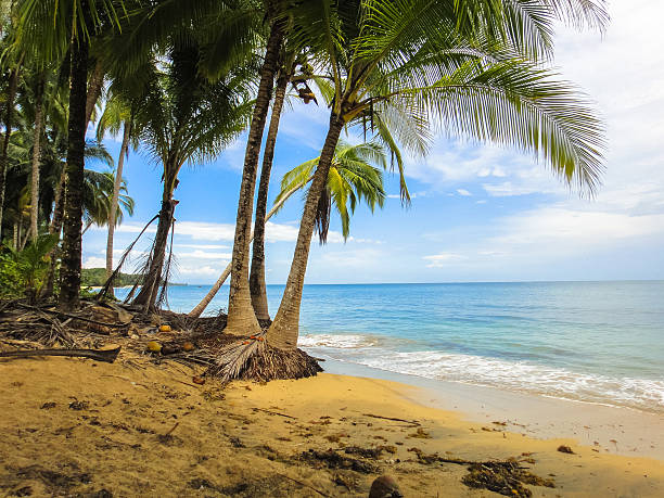 istock Caribbean islands in Panama. slipper. Bocas Del Toro 638520646
