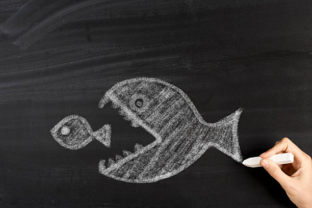 istock Businesswoman drawing big fish on blackboard 638521444
