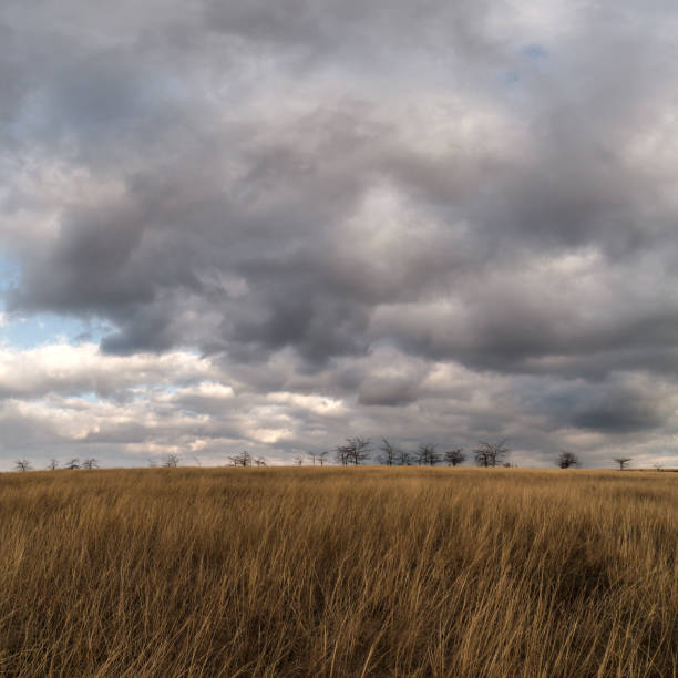 istock storm clouds in the autumn steppe 638521660