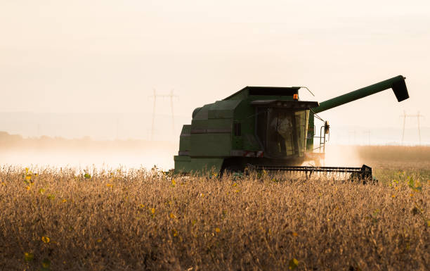 istock soybean harvest in autumn 638522690