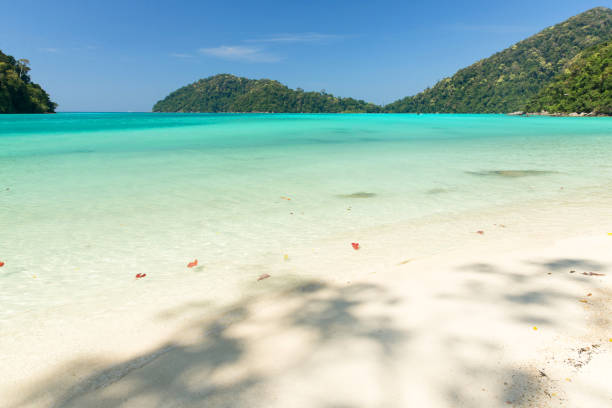 istock Surin island,Surin national park Thailand 638523562