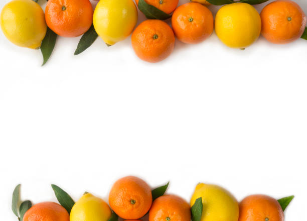 istock Mandarins and lemons on white background 638523774