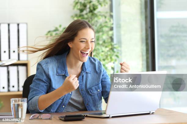 Excited Entrepreneur Working On Line Stock Photo - Download Image Now - Speed, Internet, Sale