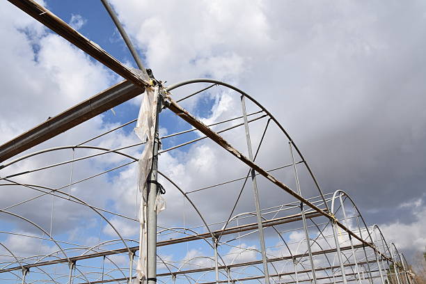 istock Agricultural Greenhouses 638529104