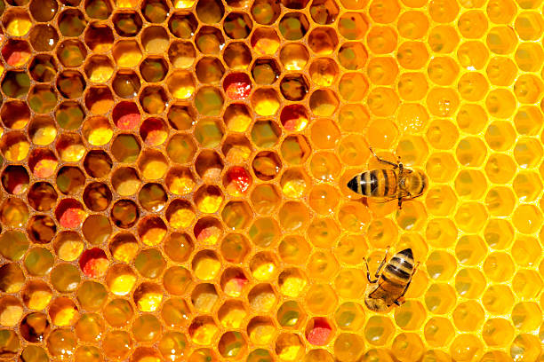 Hexagonal textured honeycomb background