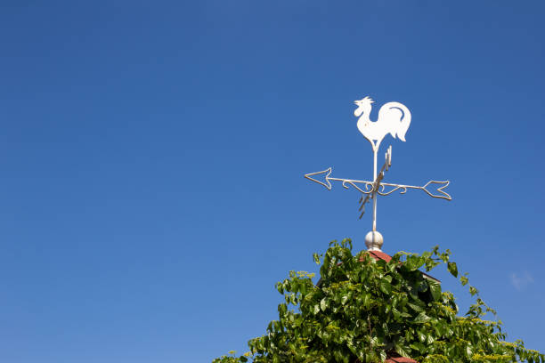 istock White rooster weather vane on blue sky background 638535940